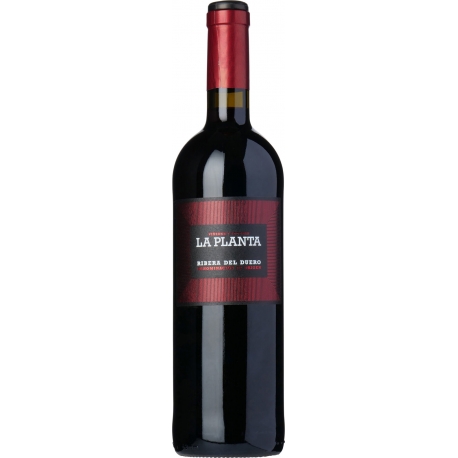 Vynas ARZUAGA LA PLANTA RIBERA DEL DUERA SEMI CRIANZA 2020, 0.75 L